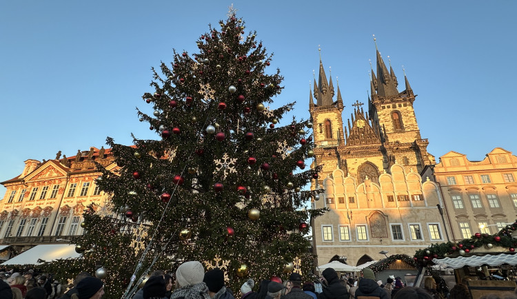 Praha hledá vánoční strom na Staromák, za dobrý tip z celé ČR nabízí deset tisíc